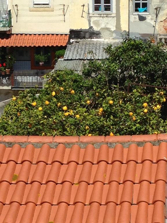 Cardal Apartment Lisboa Dış mekan fotoğraf